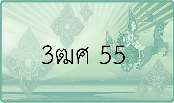 3ฒศ 55